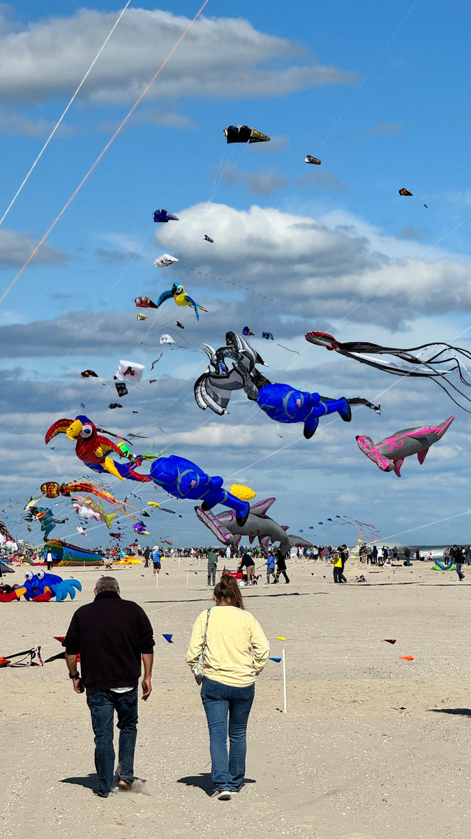 Soaring to New Heights Attending a Kite Festival for the First Time