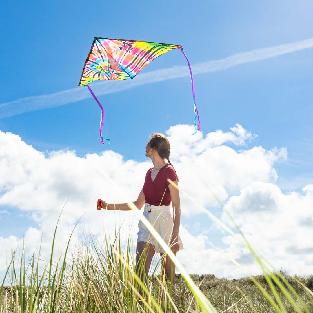 Delta Rainbow. Easy to Fly Newport Kites