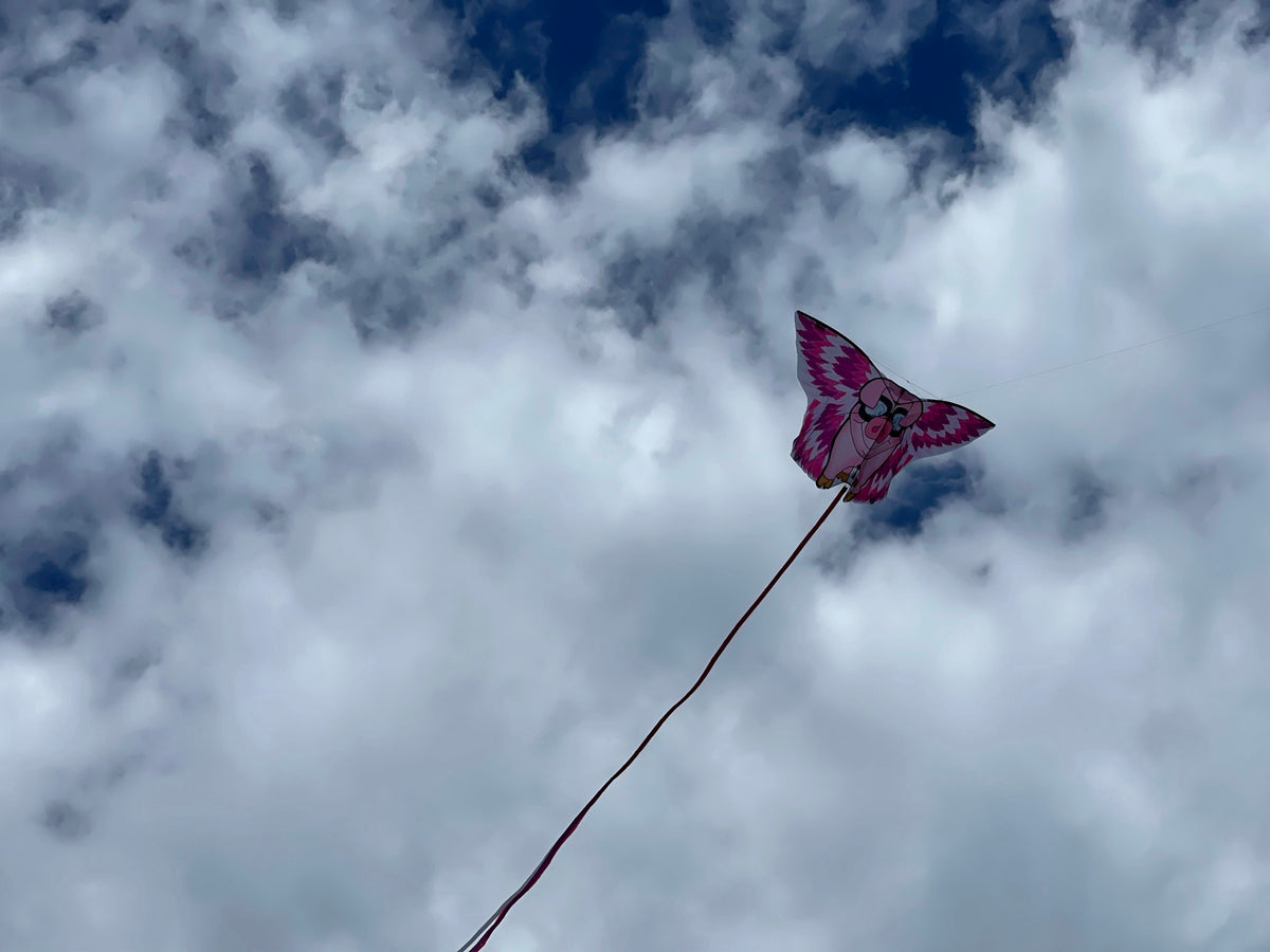 StNicholas [serial] . THE KITE REEL AND CORD. BIG KITES 725 giant kite  made, and fly it from fields near theirhomes ? On this and the preceding  page are shown someinteresting photographs