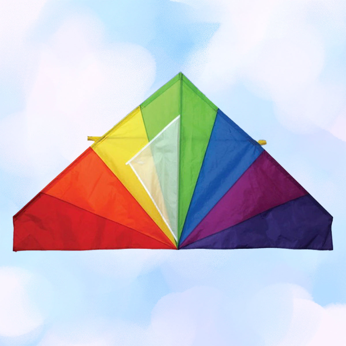 Classic Delta 55'' Kite Rainbow Newport Kites