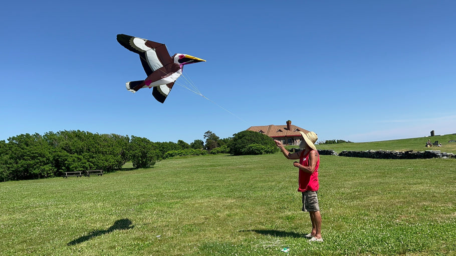 Kite Buying Guide: How to Choose the Right Kite