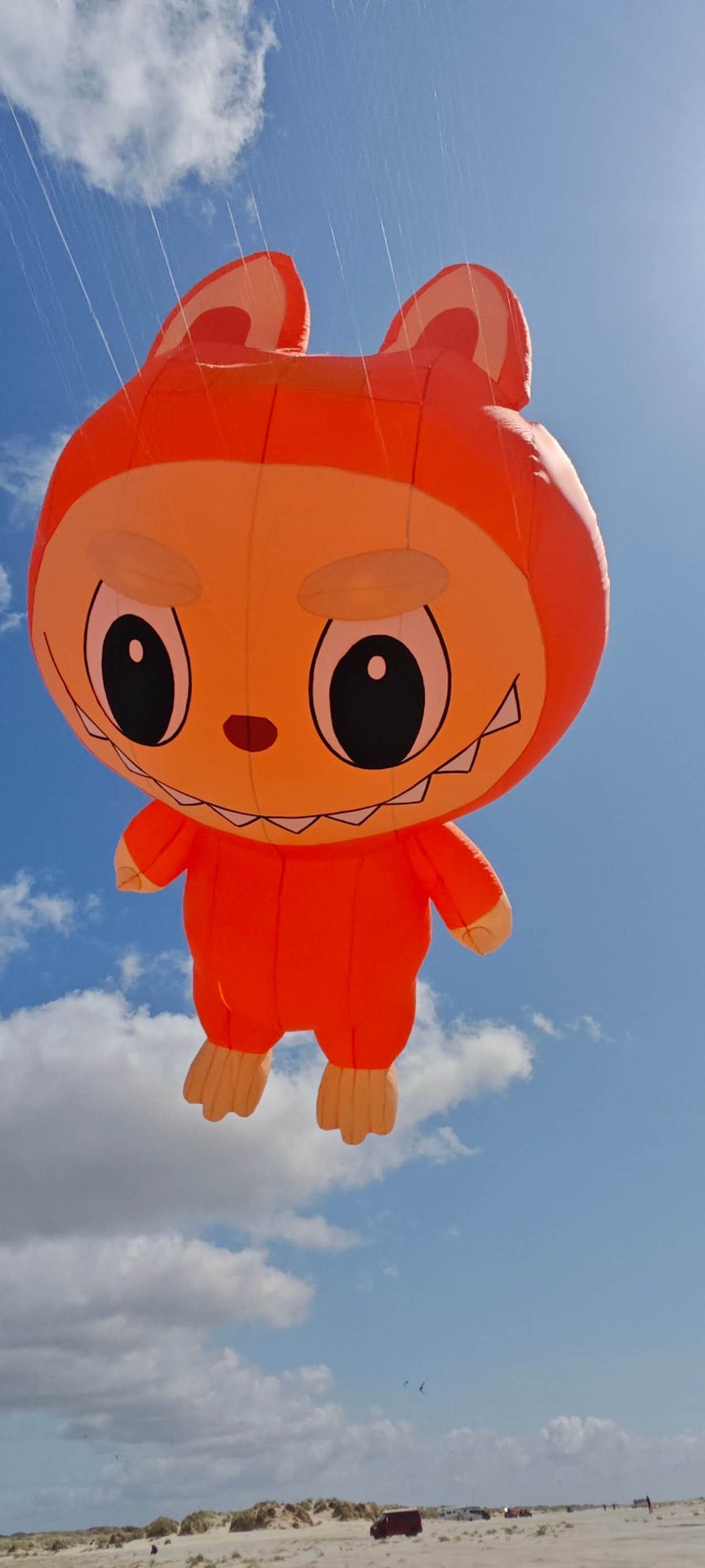 Newport Kites