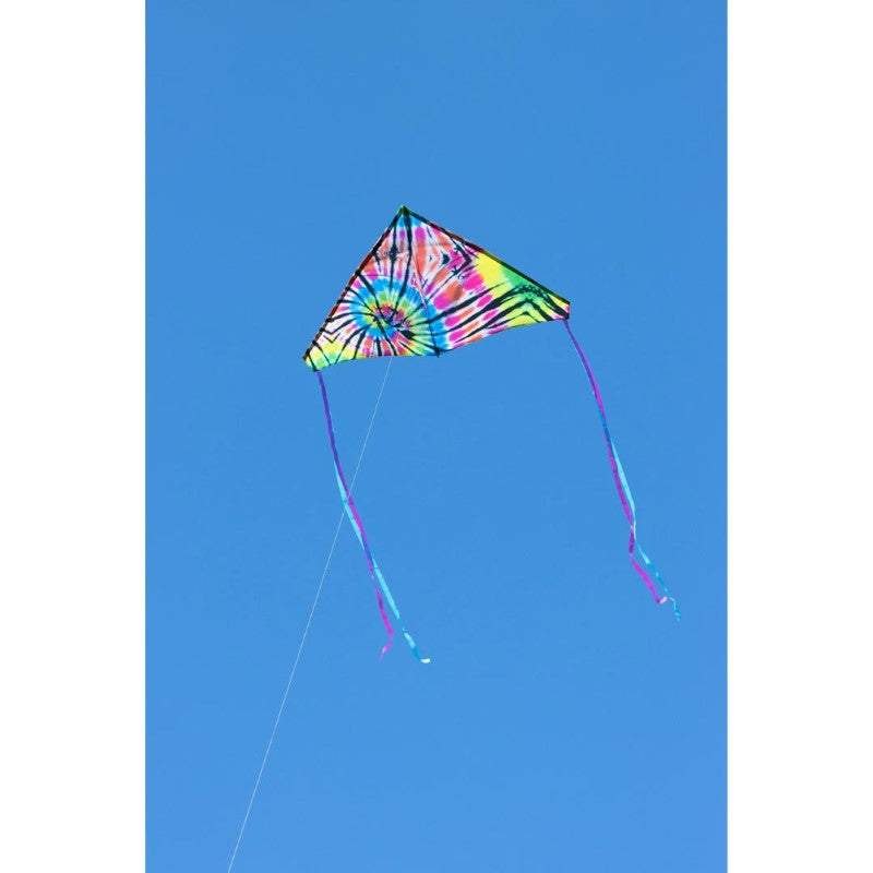 Newport Kites