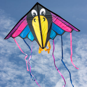 Delta Raven Kite