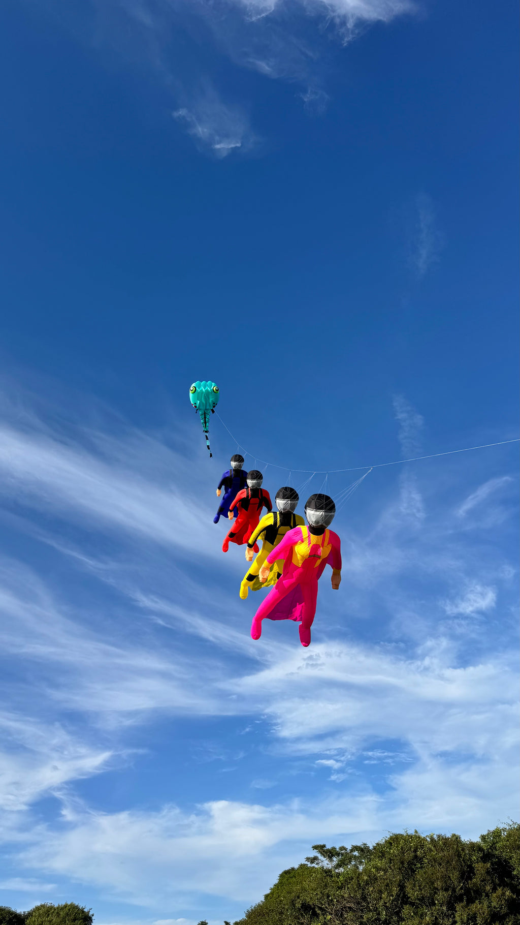 Newport Kites