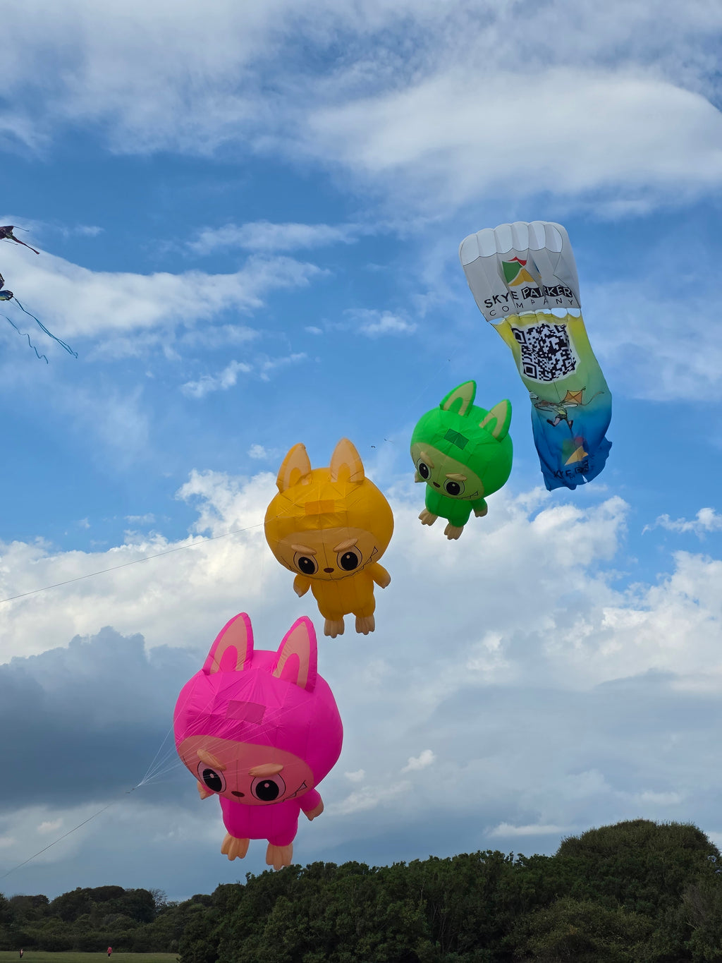 Newport Kites