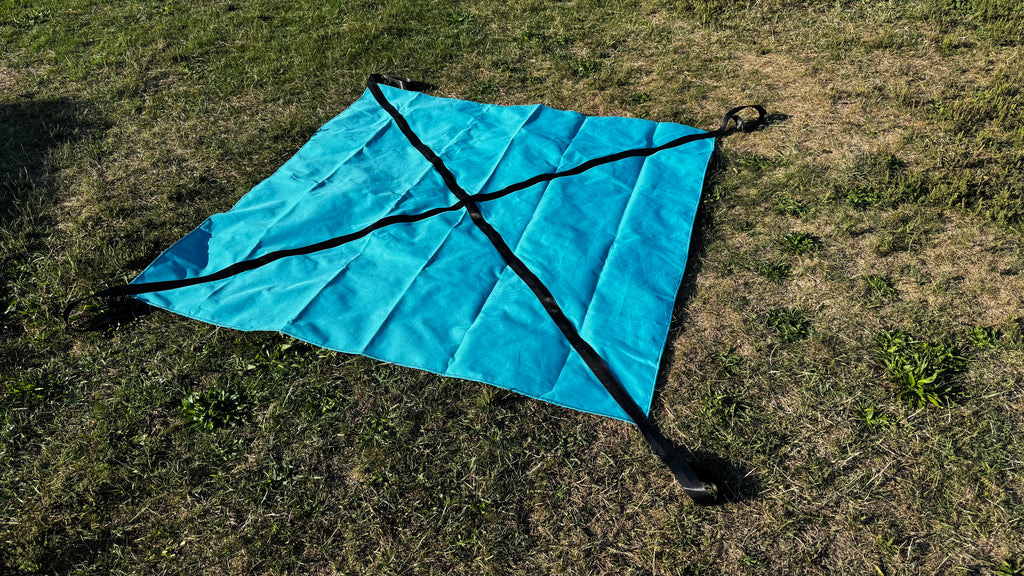 Newport Kites