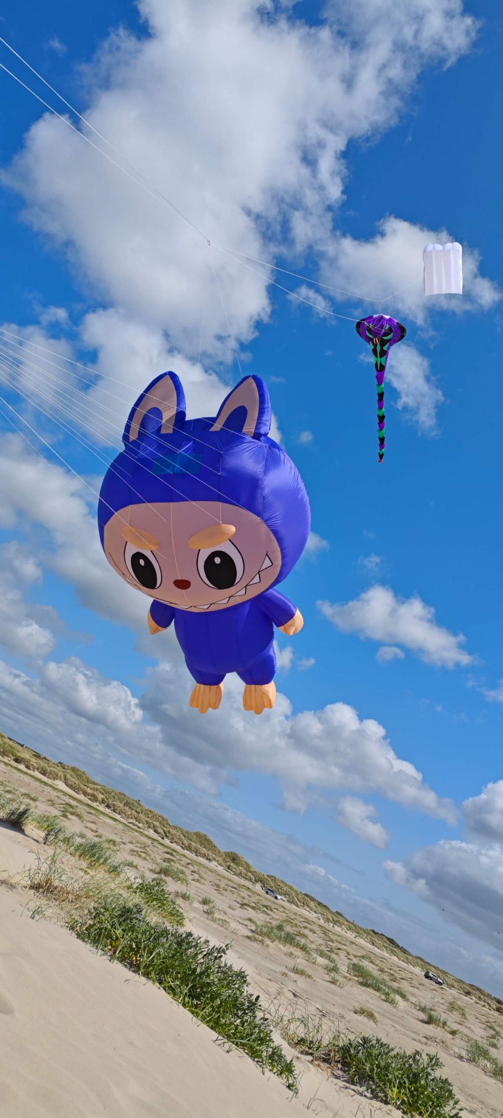 Newport Kites