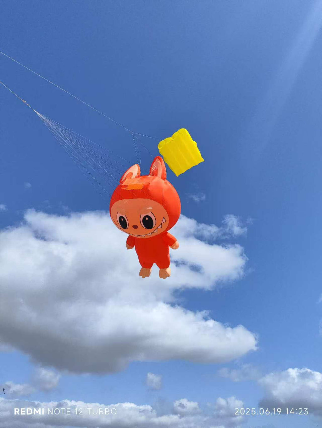 Newport Kites