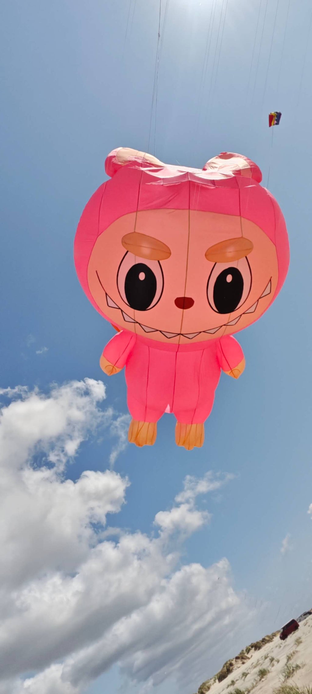 Newport Kites