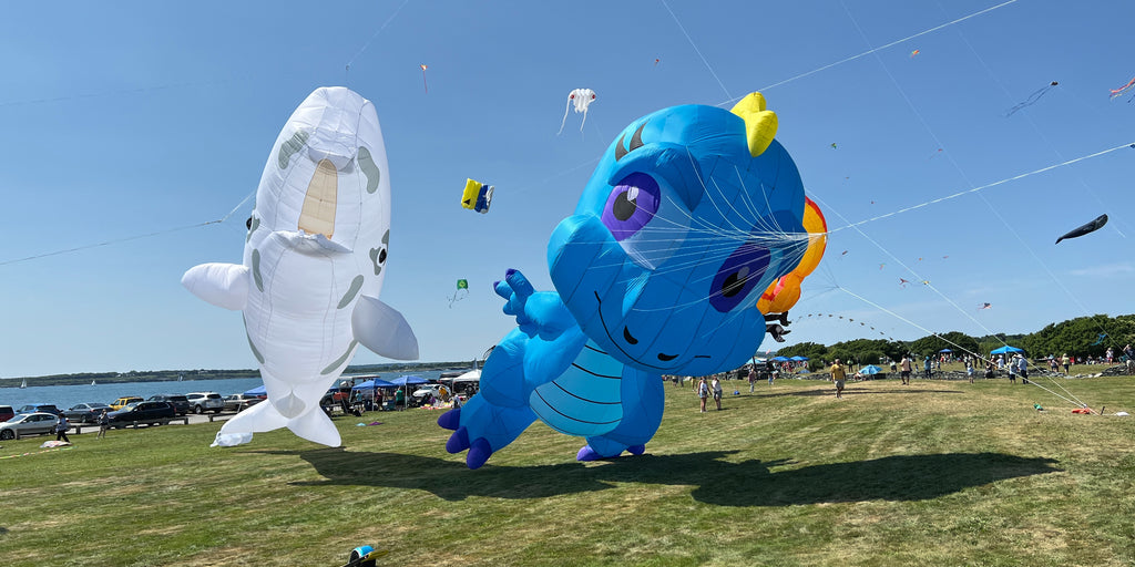 Newport Kites