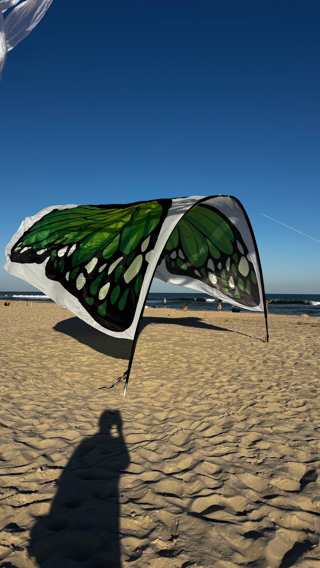 Newport Kites