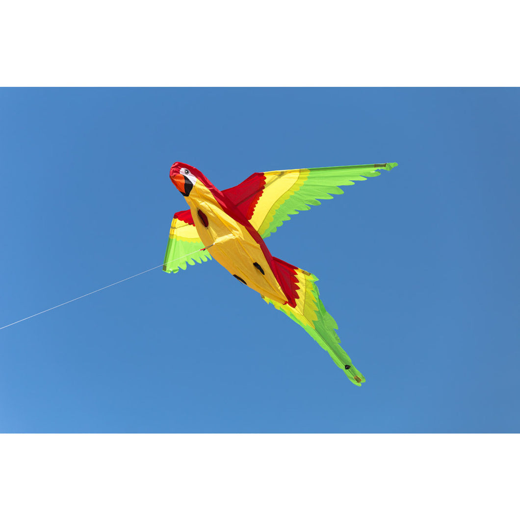 Parrot Kite