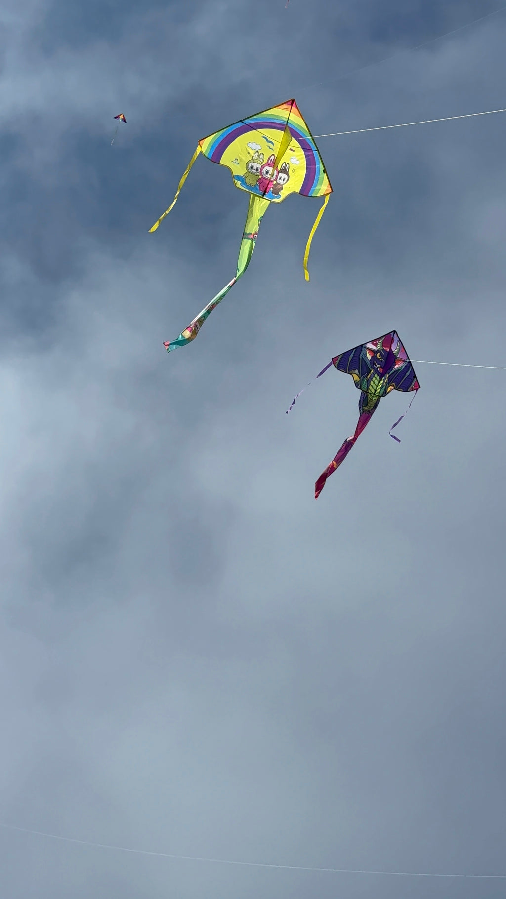 Newport Kites