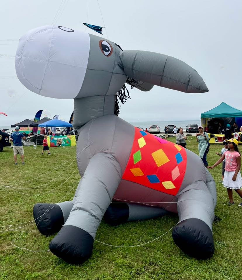 Newport Kites