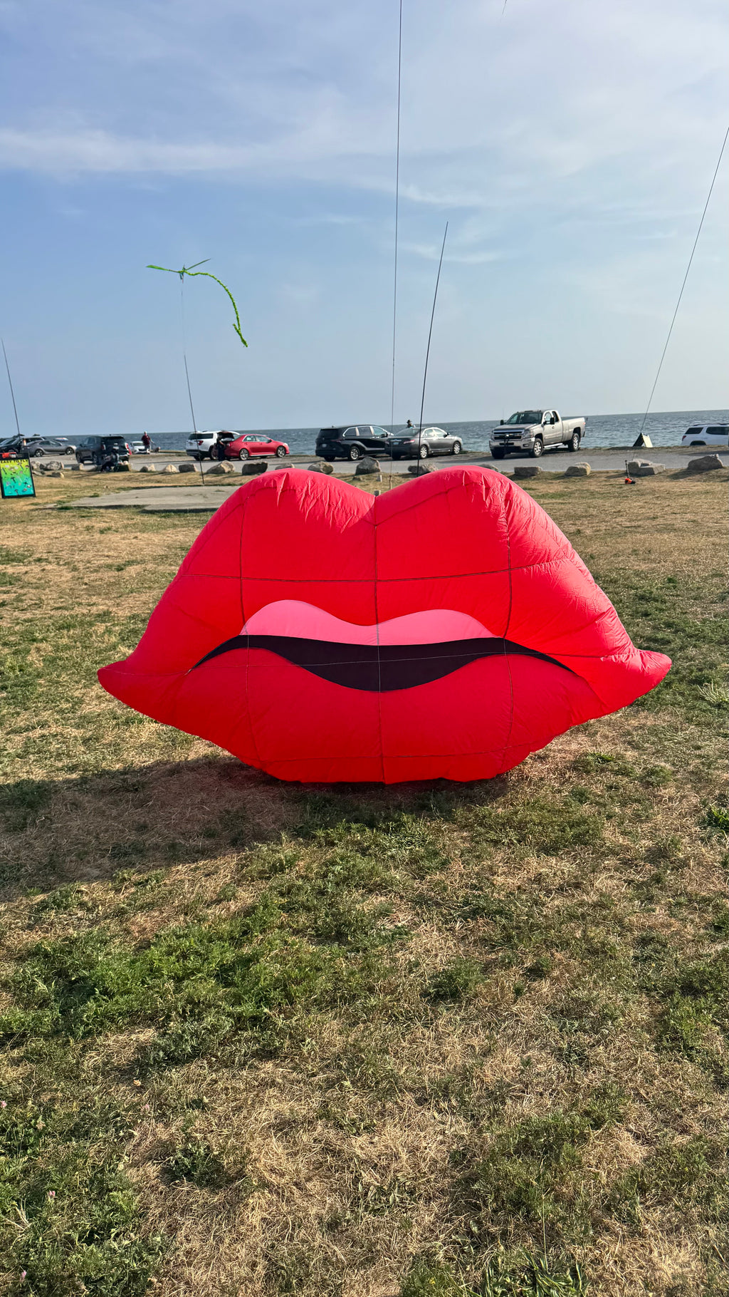 Newport Kites
