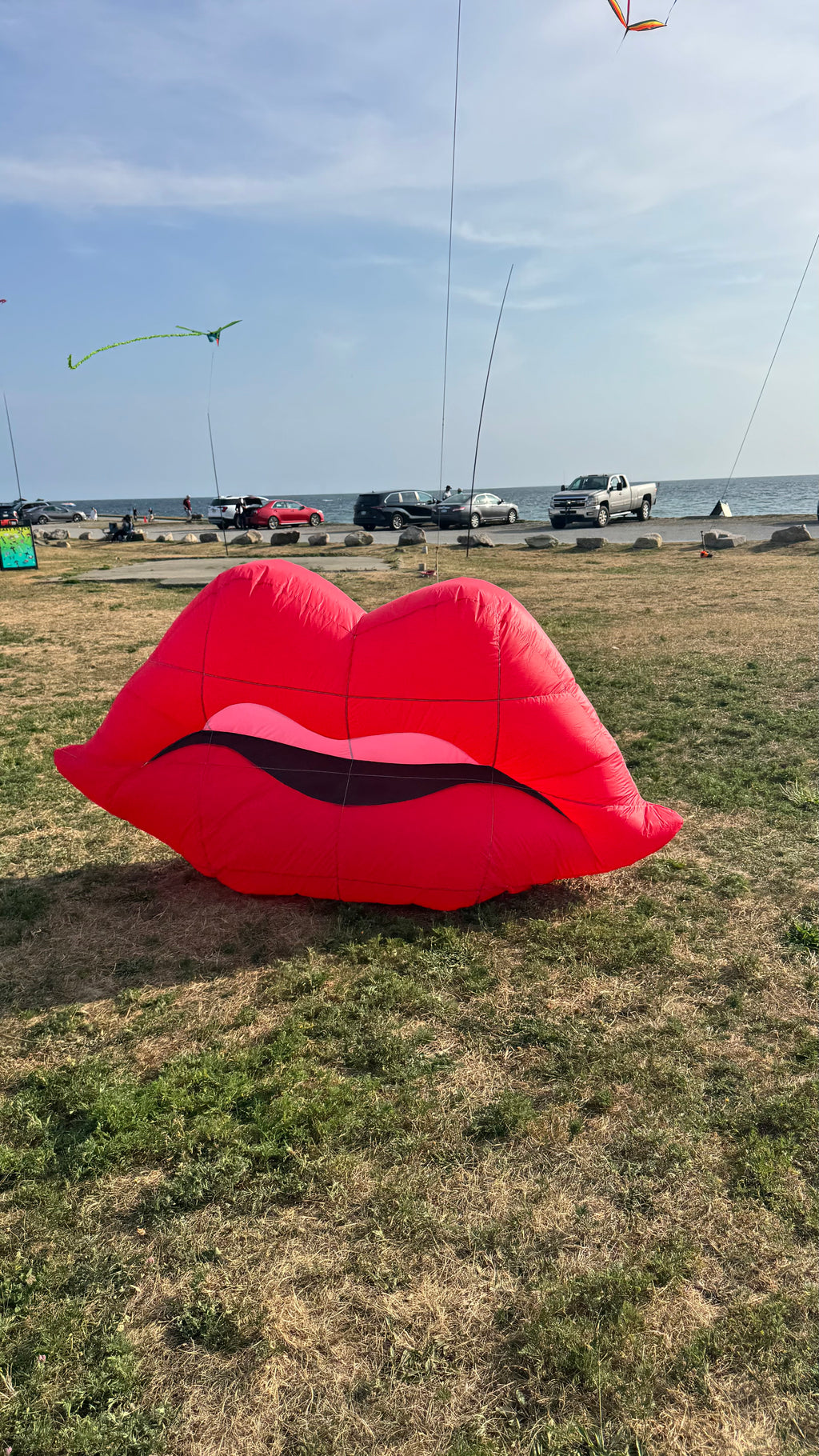 Newport Kites