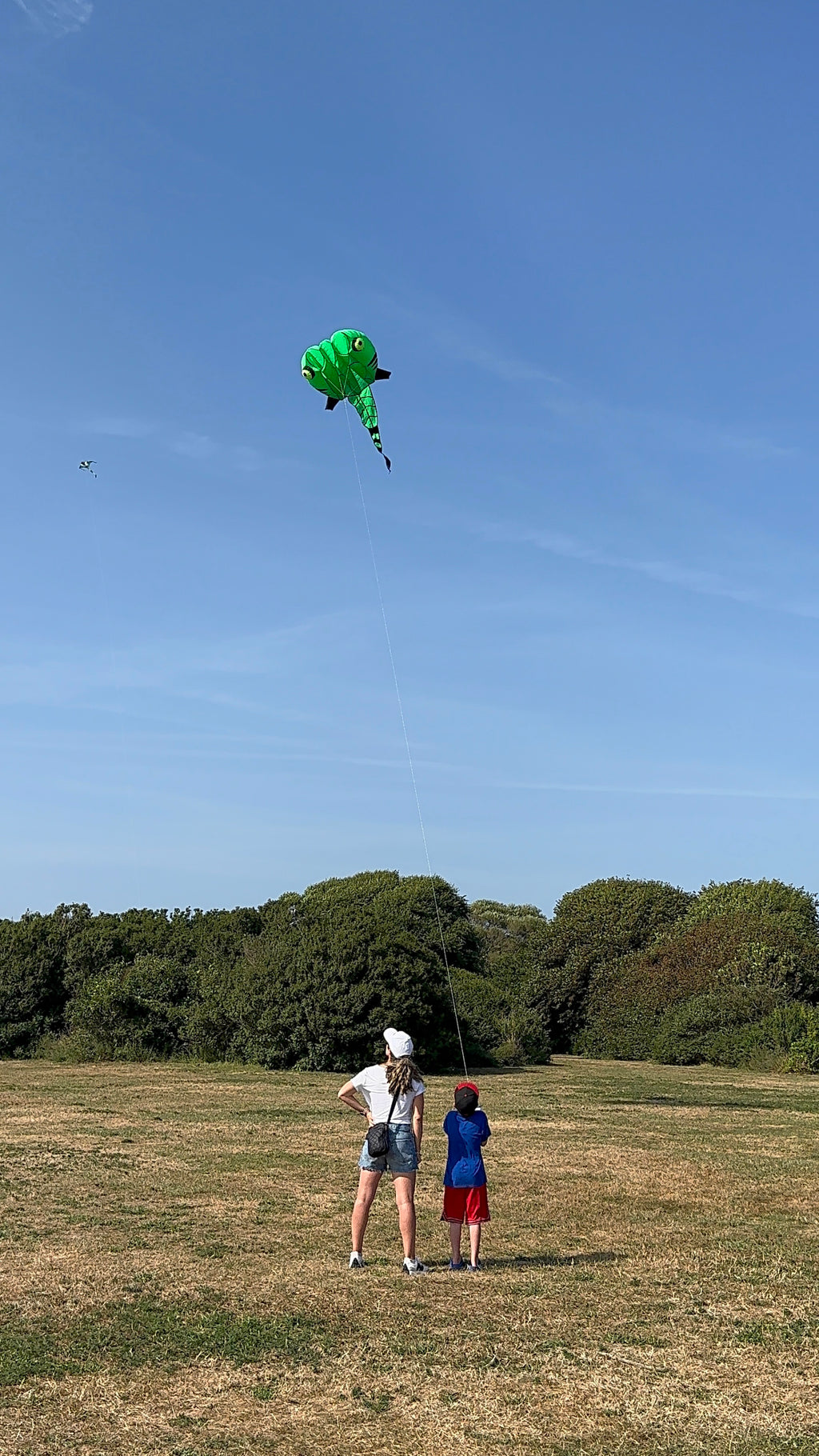 Newport Kites