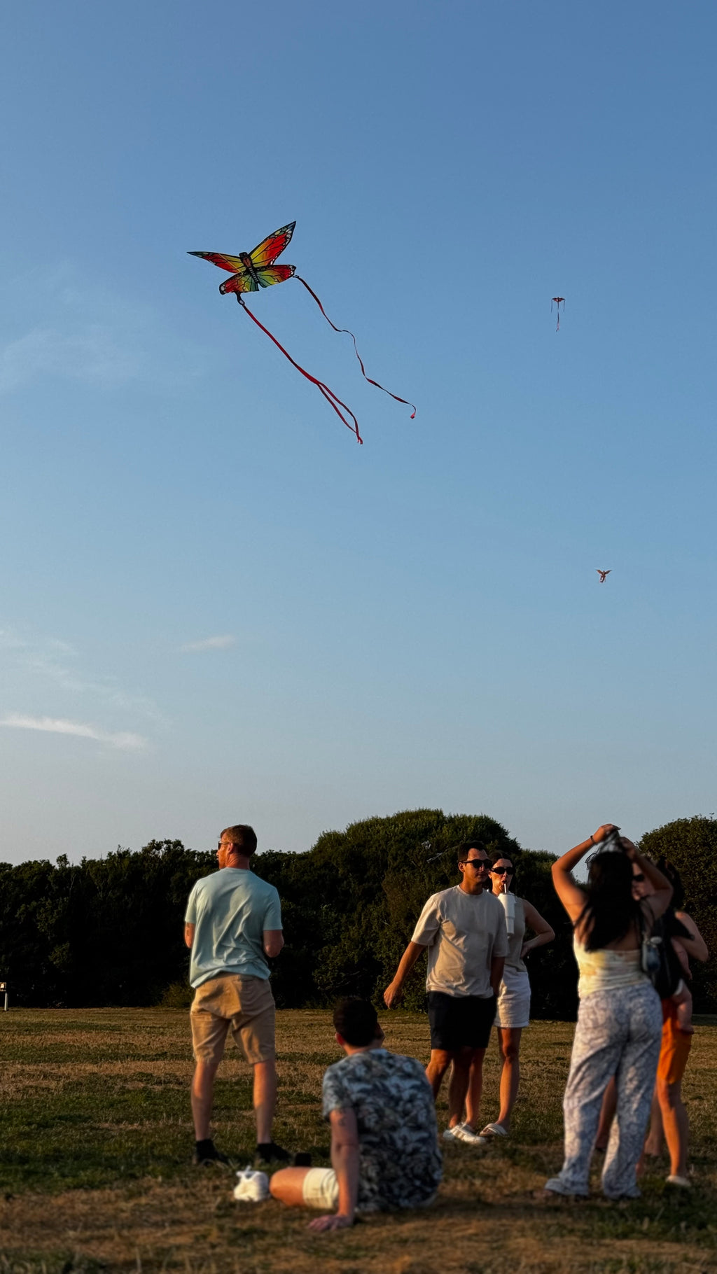 Newport Kites