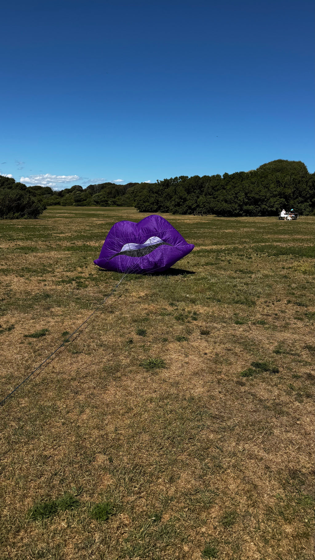 Newport Kites