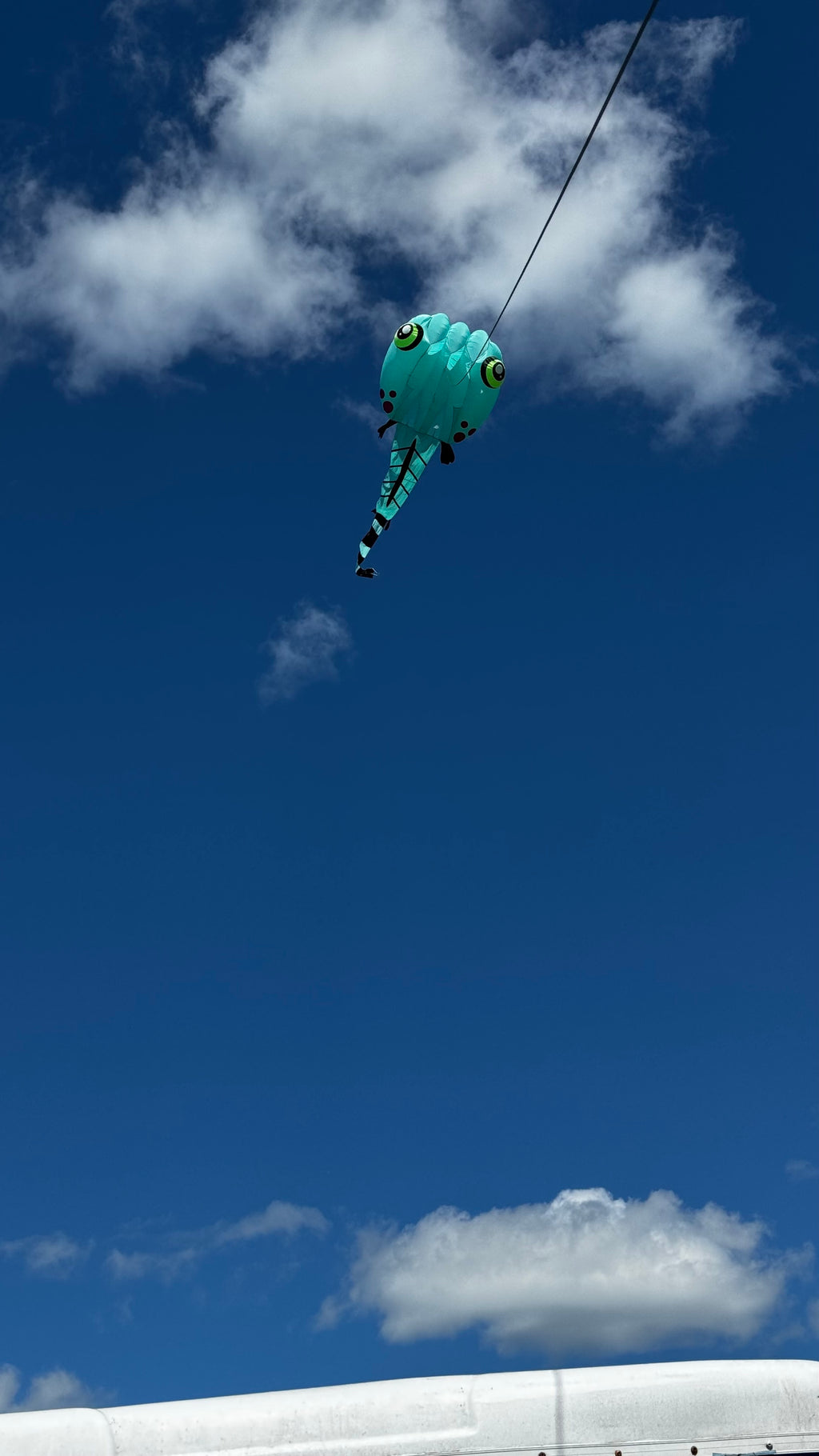Newport Kites