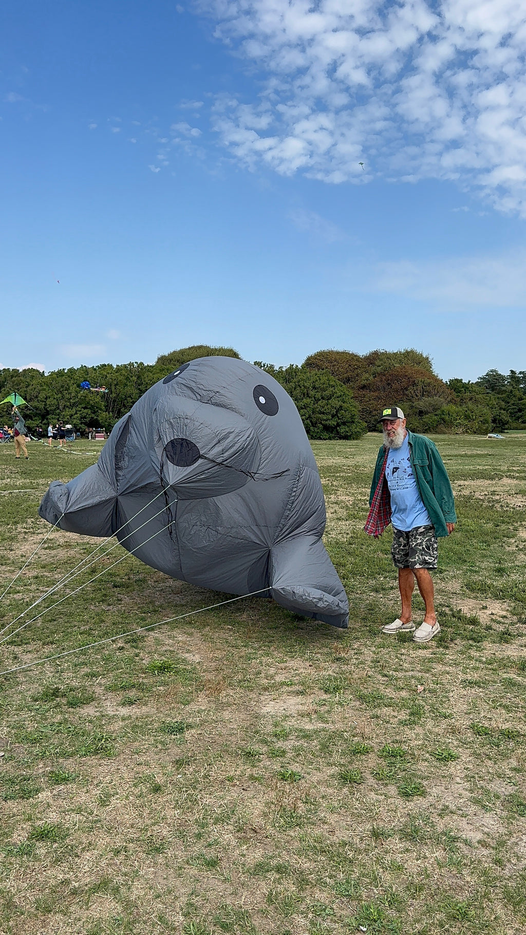 Newport Kites