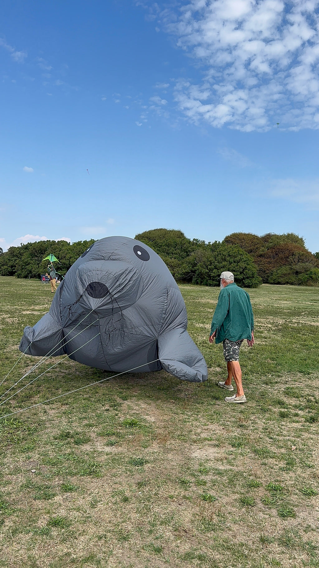 Newport Kites