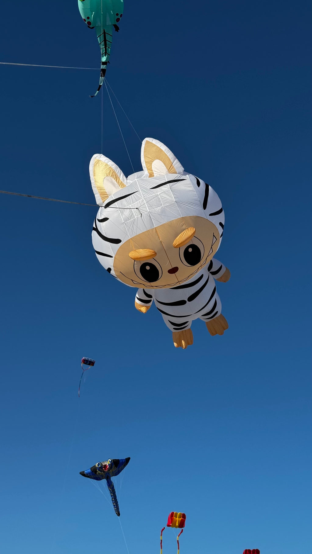 Newport Kites