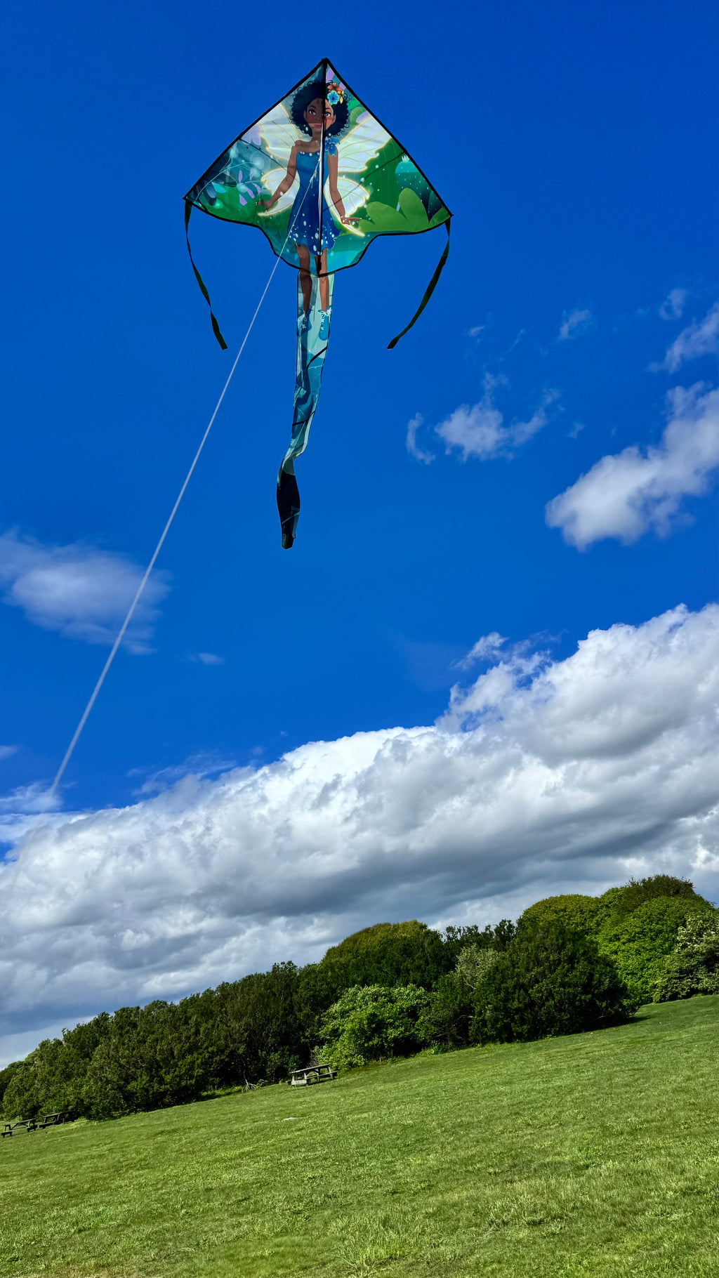 Newport Kites