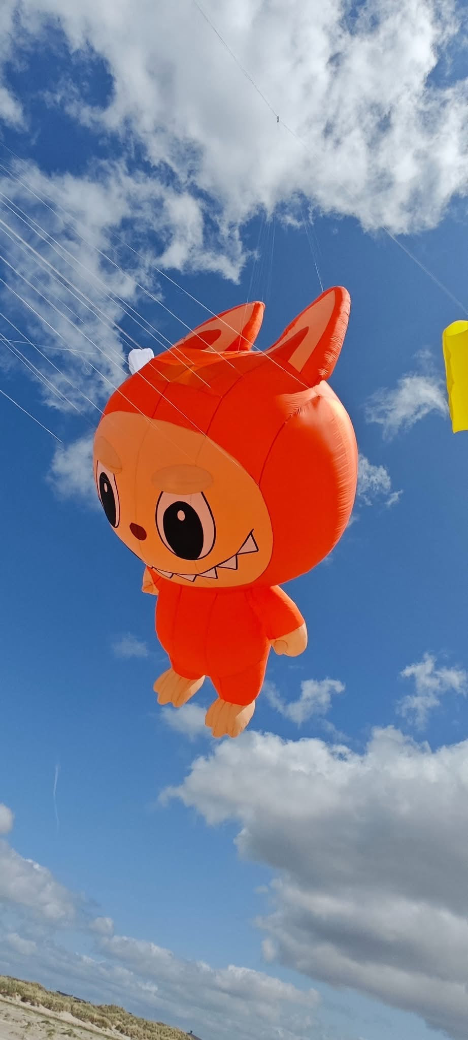Newport Kites