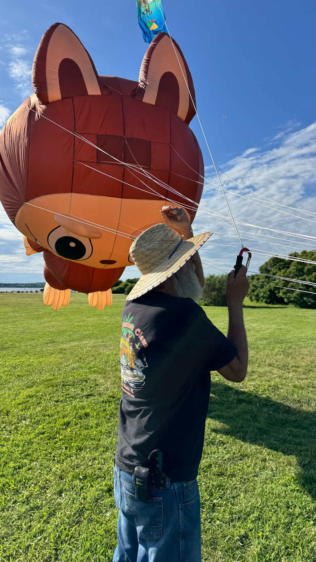 Newport Kites