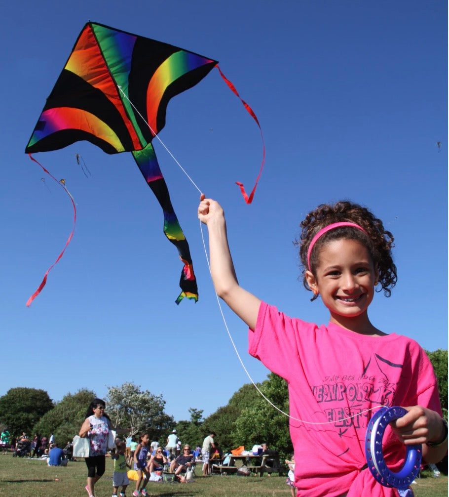 Kites for sale Single line kites are great for kids or beginners. – Newport  Kites
