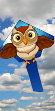 Load image into Gallery viewer, Owl Kite
