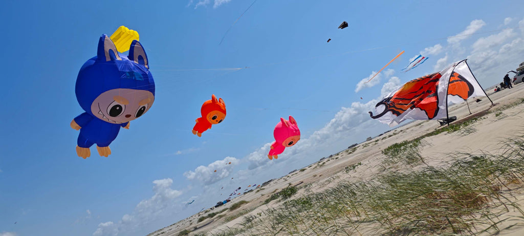 Newport Kites
