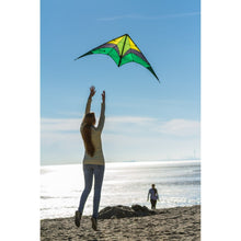 Load image into Gallery viewer, Limbo Sport Kite

