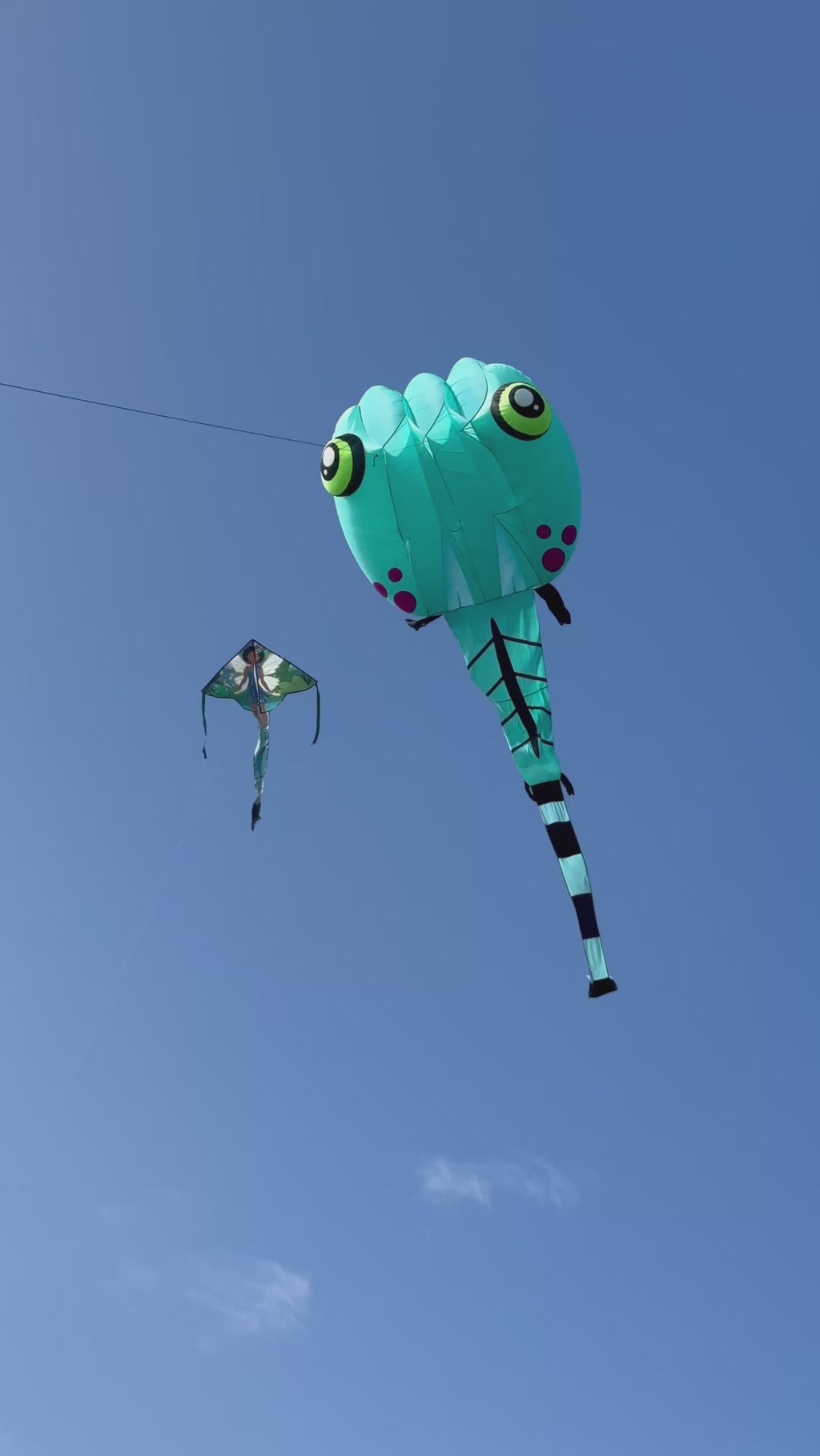 Newport Kites