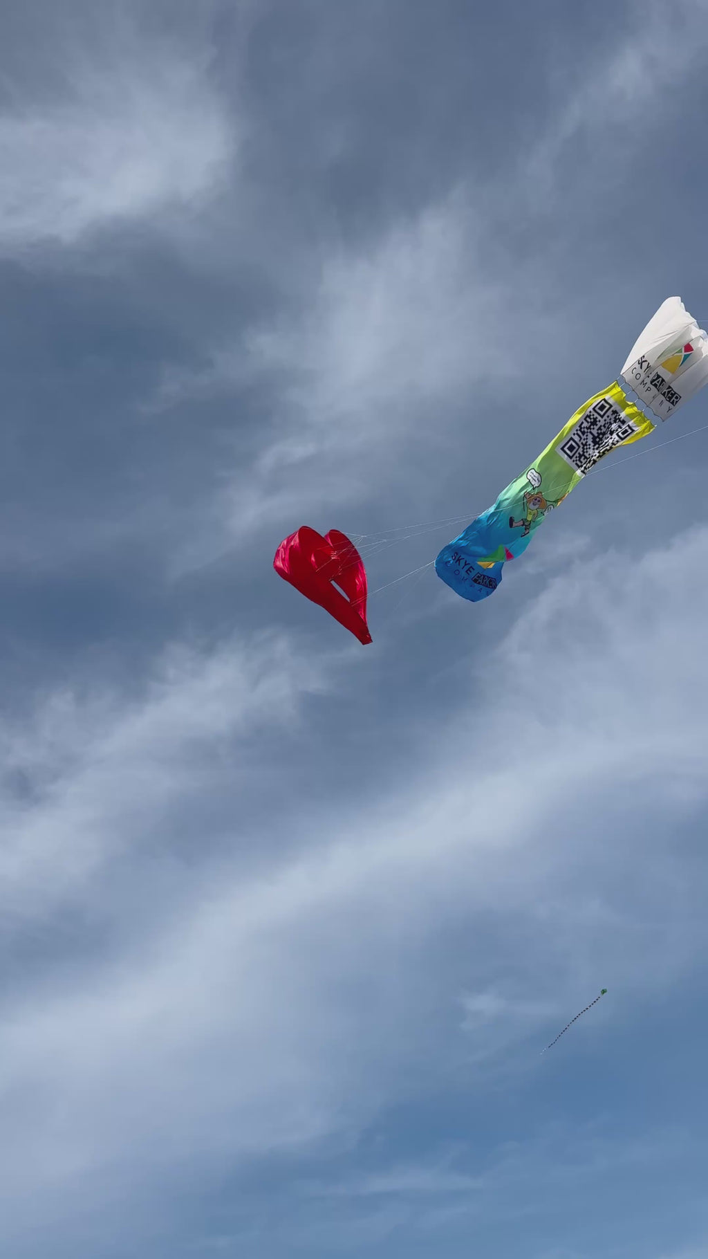 Newport Kites