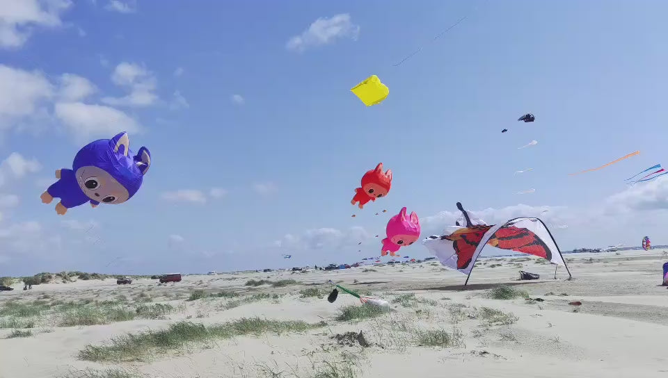 Newport Kites