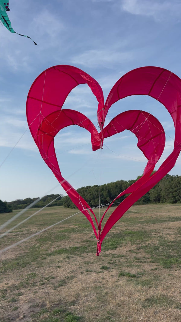 Newport Kites