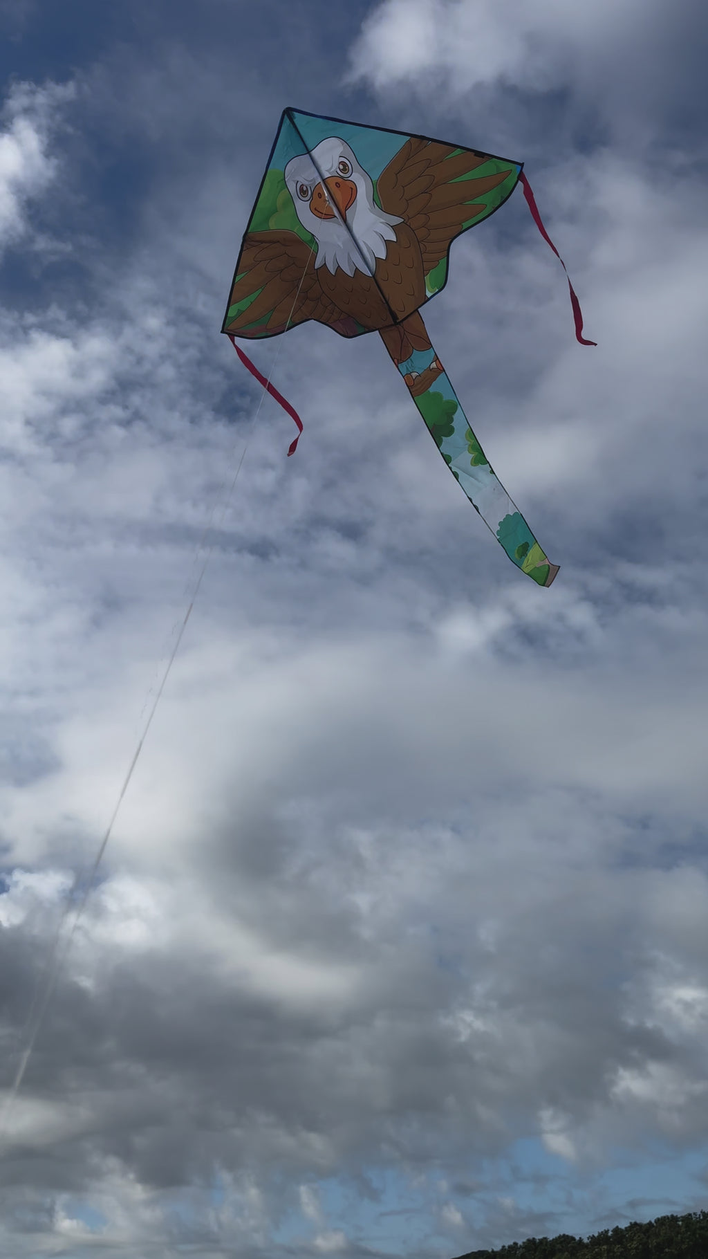 Newport Kites