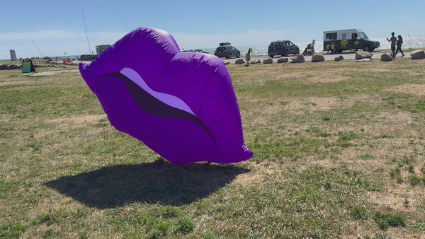 Newport Kites