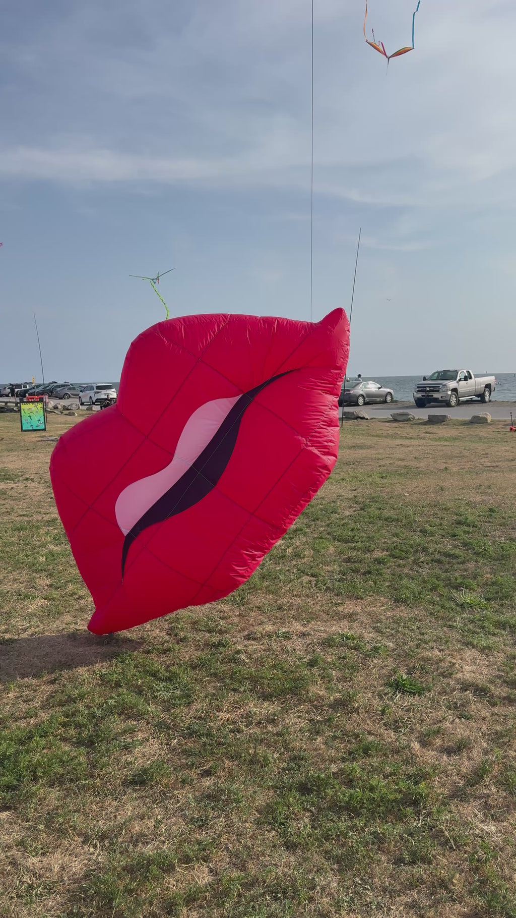 Newport Kites