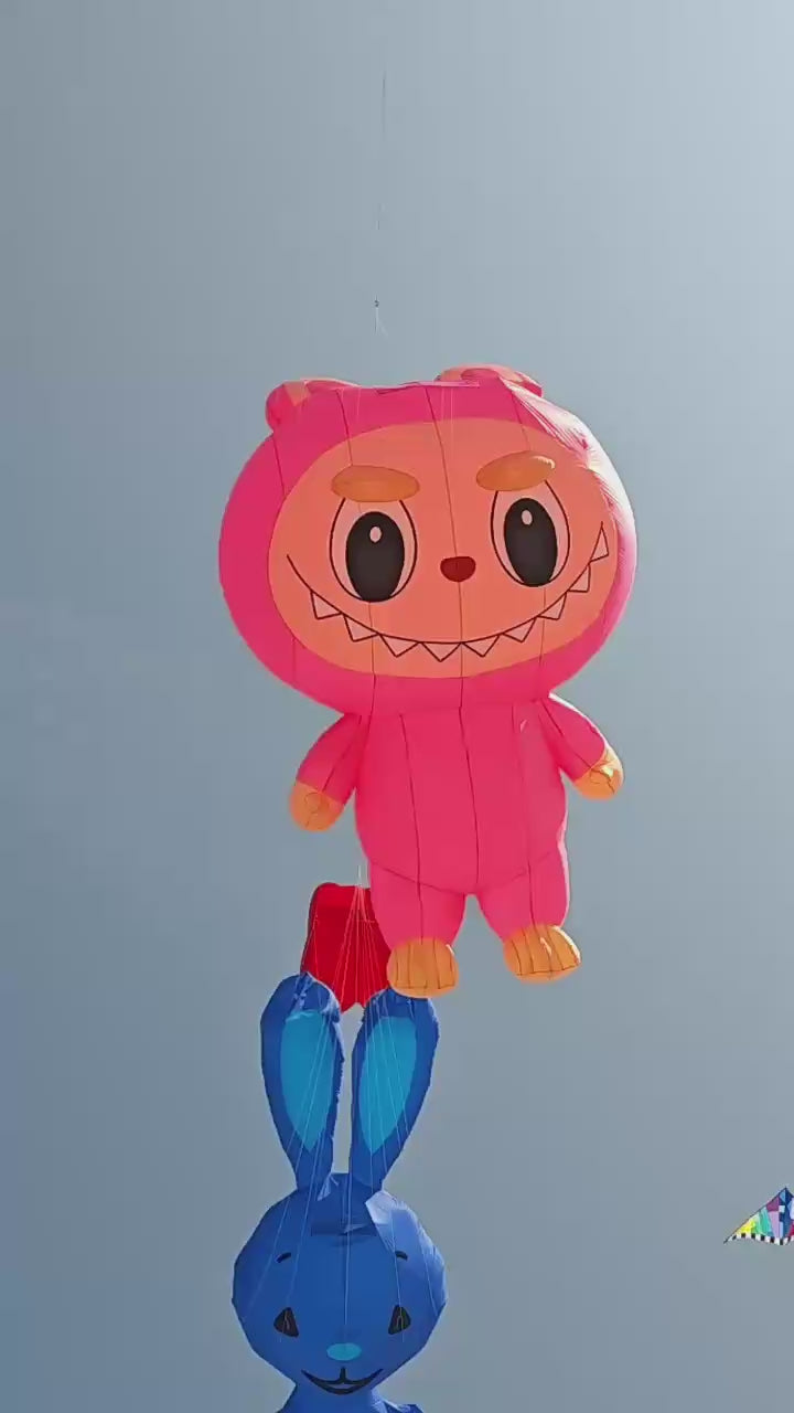 Newport Kites