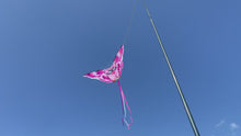 Load and play video in Gallery viewer, Pig Kite   Flying Floyd
