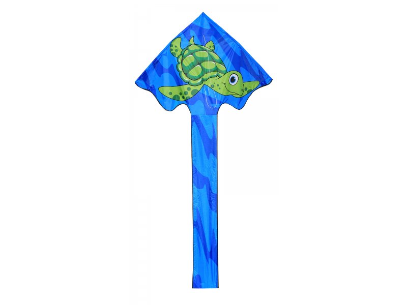 Newport Kites