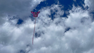 Pig Kite   Flying Floyd