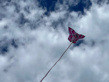 Load image into Gallery viewer, Flying Pig Kite   Flying Floyd
