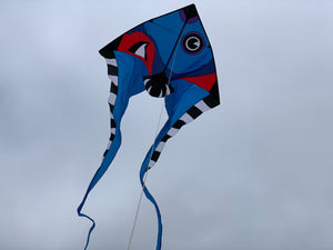 Fish Pyro Delta 9 Foot Kite