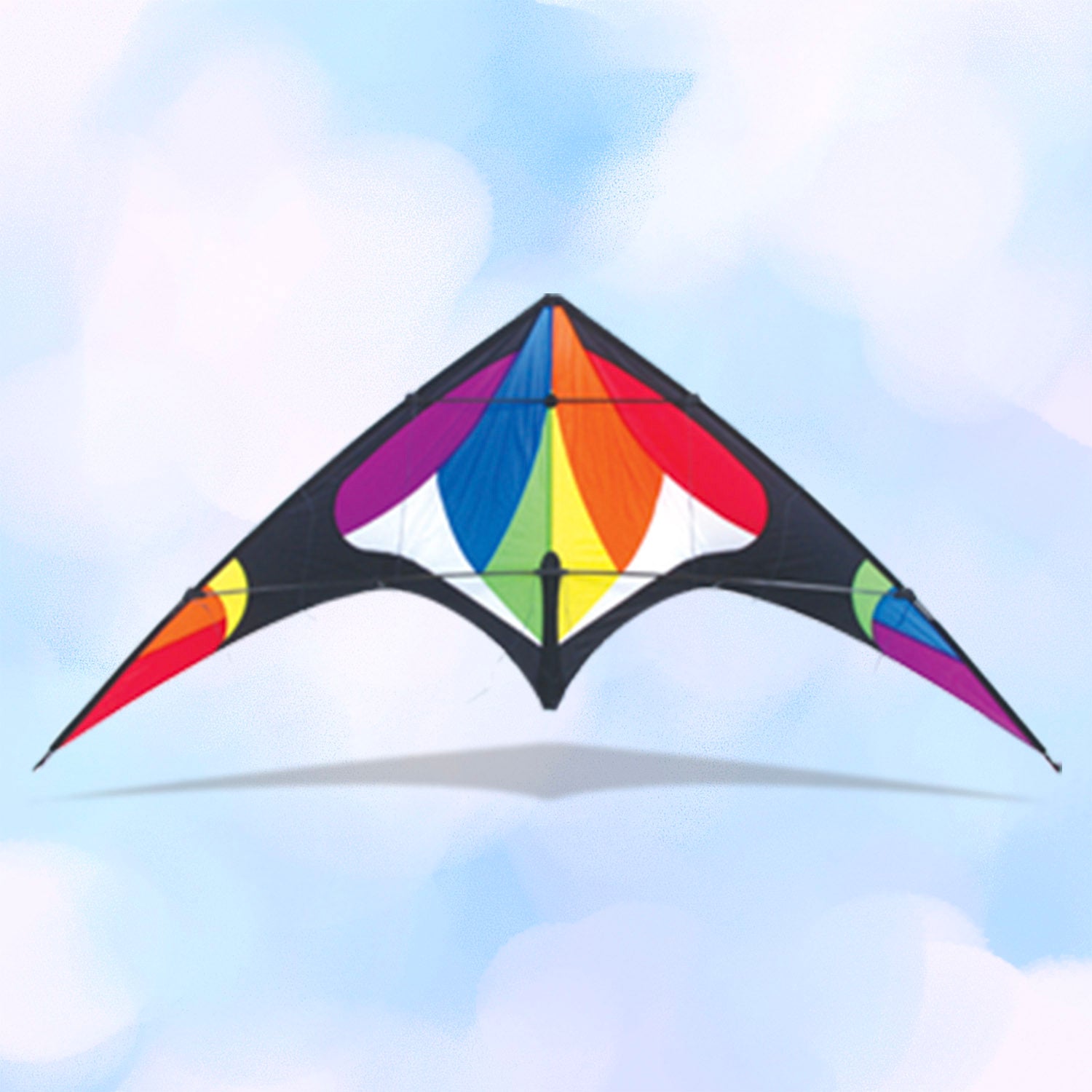 Freebird Rainbow - 2 Line Sport Stunt Kite