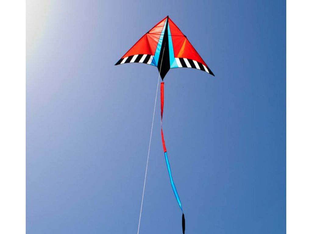 Newport Kites